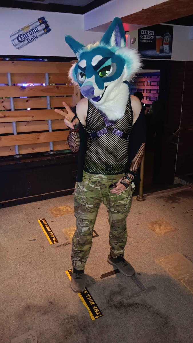 FryoKnight tweet media