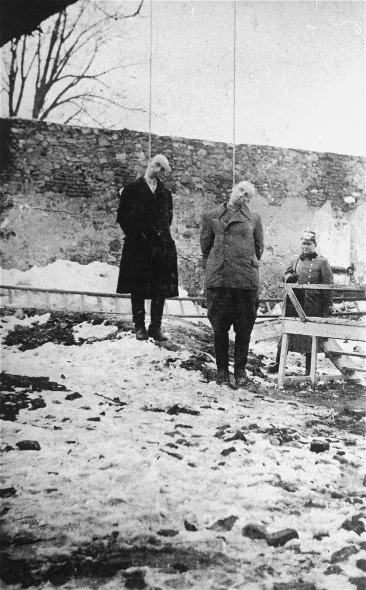 HighOnLife tweet media