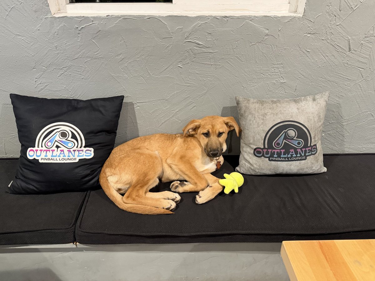 Number Runner tweet media