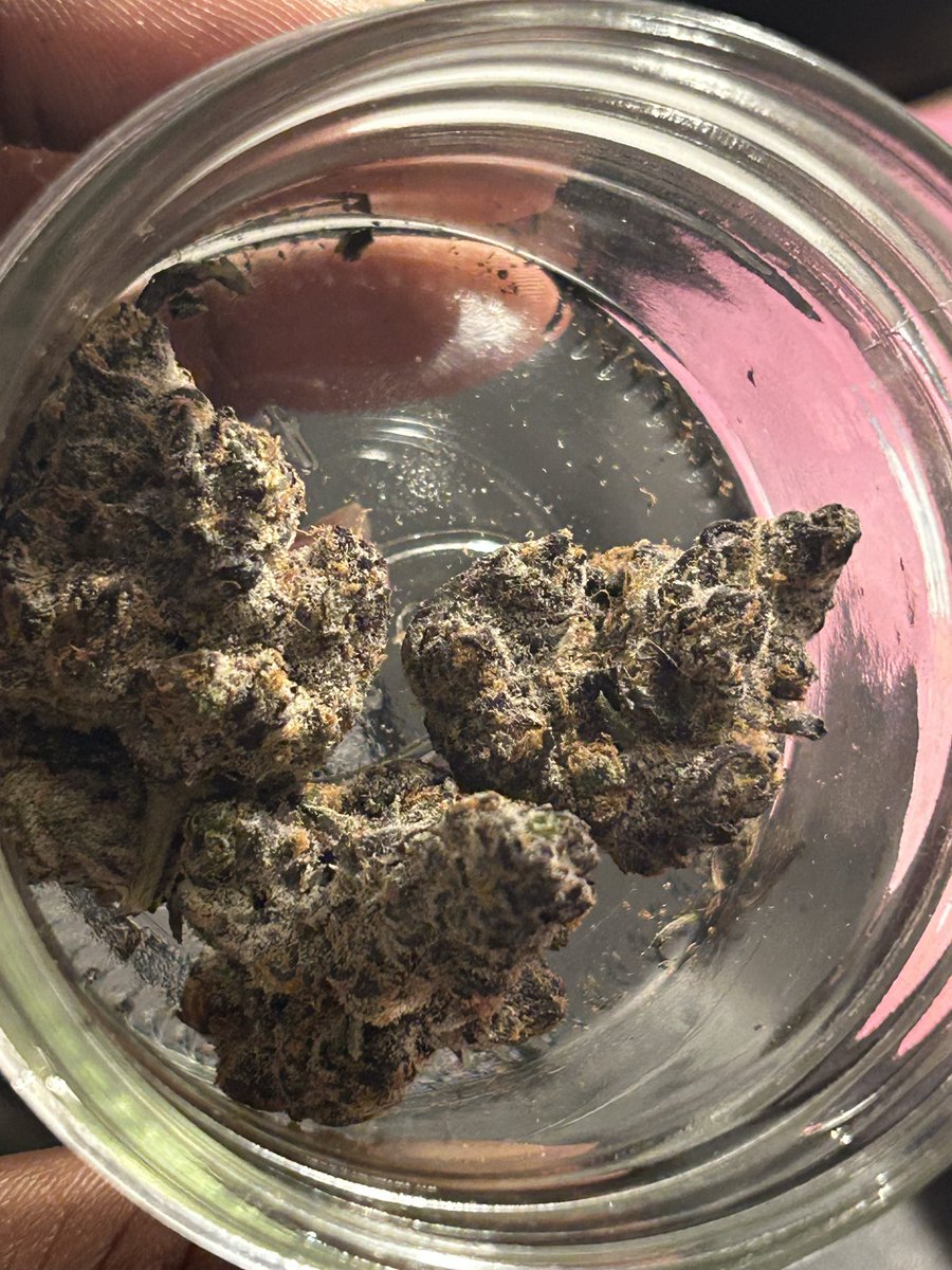 SHMACKED 🌃 🔥 tweet media