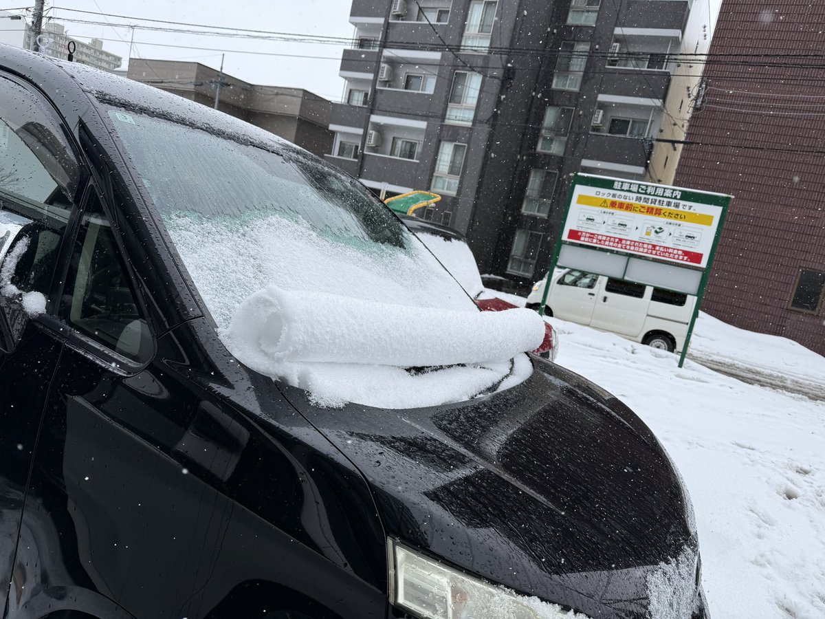 hassy_ALPHARD's tweet photo. 札幌で車にロールケーキ乗ってた https://t.co/sZ456fjNLy