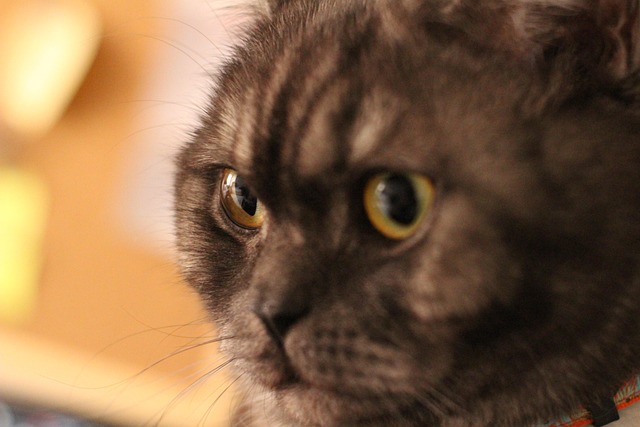 Brian Robichaud tweet media