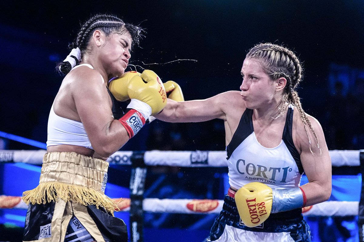 Boxeo de Primera tweet media