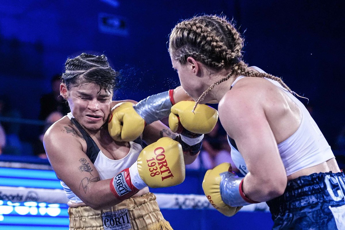 Boxeo de Primera tweet media