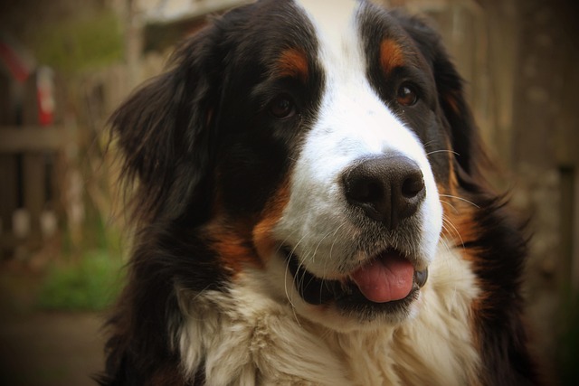 Shannon Ward tweet media