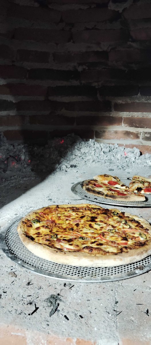 Grifuz 🌙 tweet media