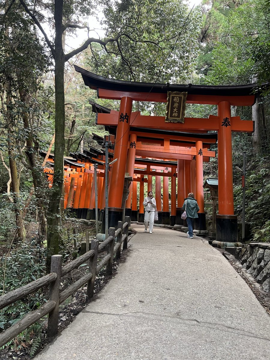 PigDirtys's tweet photo. 神々しかったでござる https://t.co/dY957ZxF3I