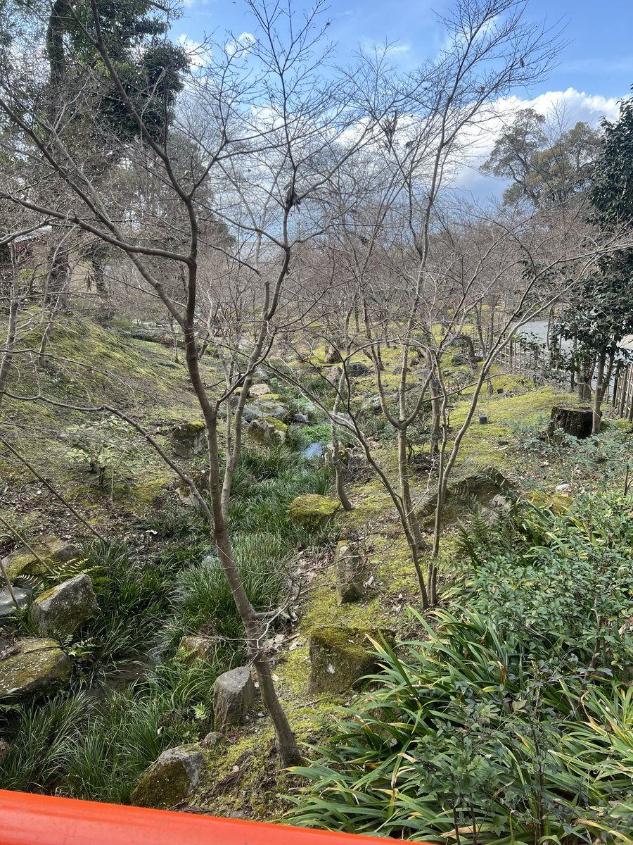 PigDirtys's tweet photo. 神々しかったでござる https://t.co/dY957ZxF3I