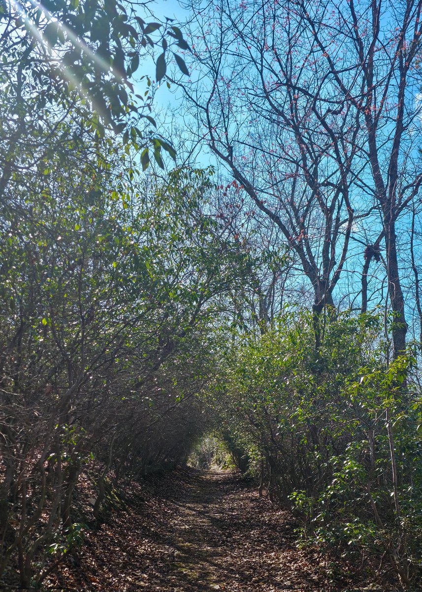 MyPuppyLife tweet media