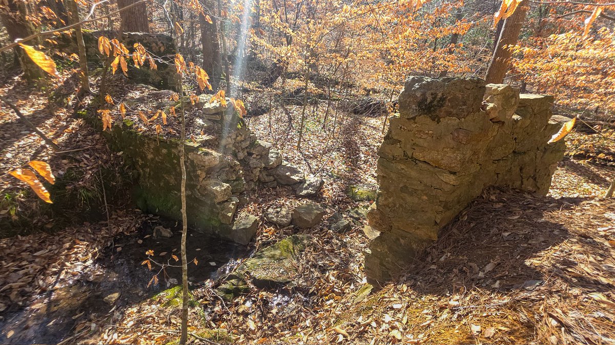 MyPuppyLife tweet media