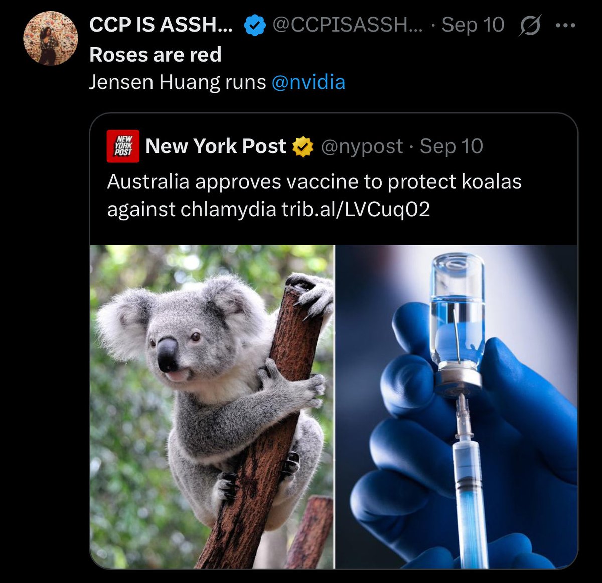 CCP IS ASSHOE tweet media