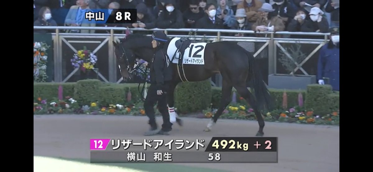 ponchan__14's tweet photo. さて、穴馬の登場です。マーゴドットゲイン、人気を落としており矢野騎手とも合いそうで一気に上昇してくる可能性が高い。人気どころのリザードアイランドを添えて。 https://t.co/4m3G3n6MYV