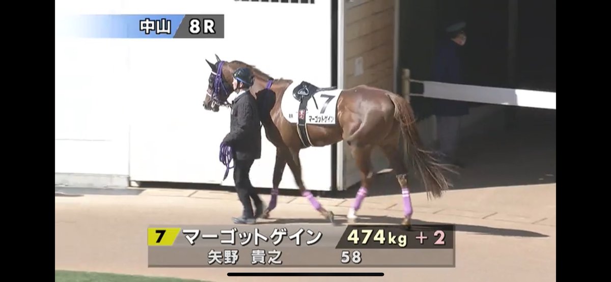 ponchan__14's tweet photo. さて、穴馬の登場です。マーゴドットゲイン、人気を落としており矢野騎手とも合いそうで一気に上昇してくる可能性が高い。人気どころのリザードアイランドを添えて。 https://t.co/4m3G3n6MYV