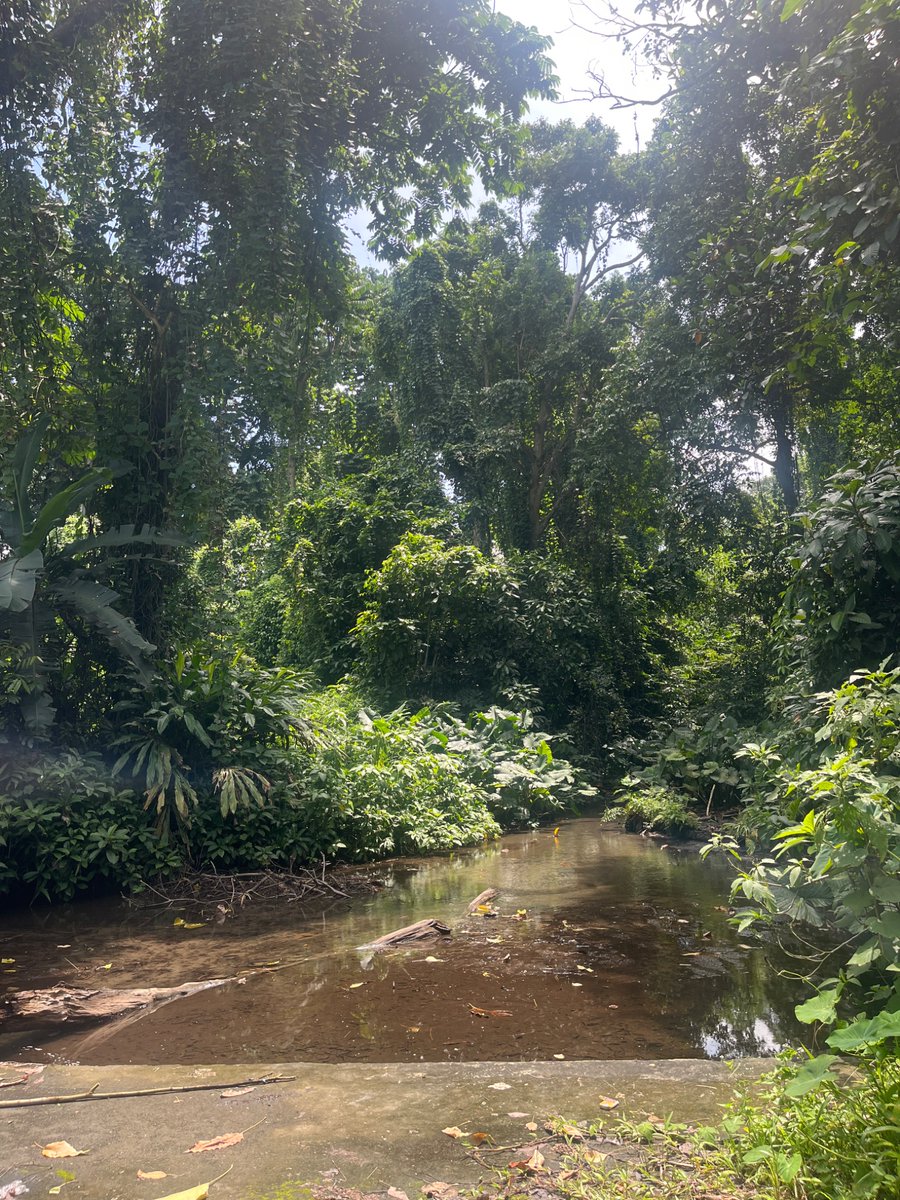 enhancing sama tweet media