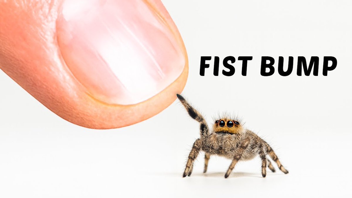 Sufiyaan tweet media