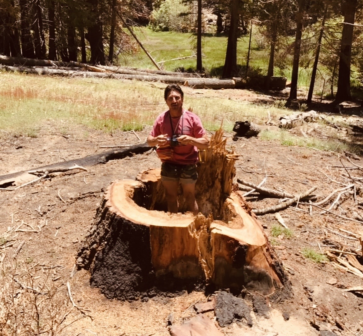 tommygunnxxx's tweet photo. Proof that this tree trunk has been hitting leg day longer than me. 🌳 #treeoflife #treetrunk #tuesdays https://t.co/ds9ahMlvbW