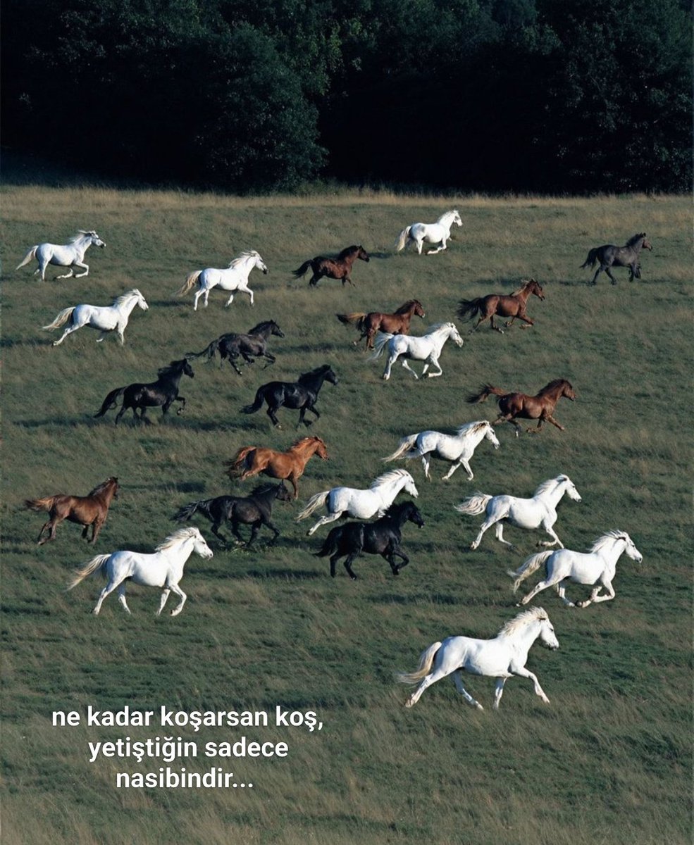 Ne kadar koşarsan koş, 
Yetiştiğin sadece nasibindir...