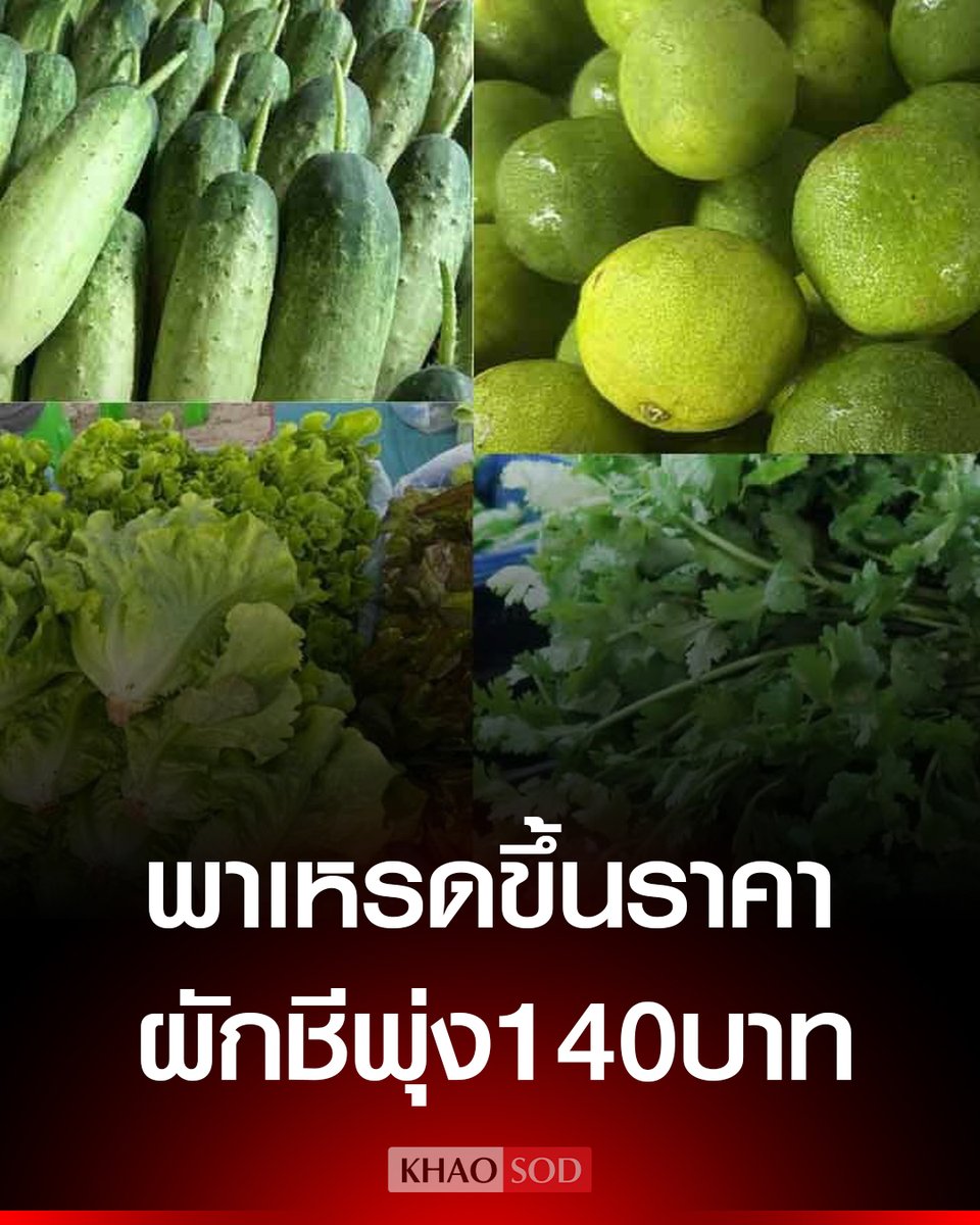 ผัก พาเหรดขึ้นราคา ผักชีทะลุ 140 บาท/กก. มะนาว ขยับรับหน้าร้อน