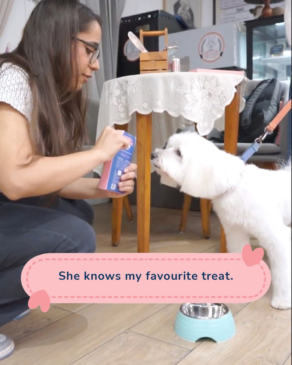 Zigly Pet Care tweet media