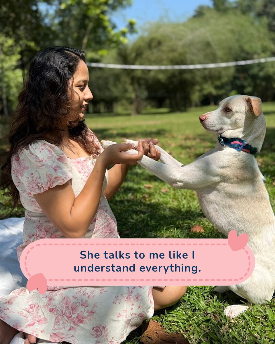 Zigly Pet Care tweet media