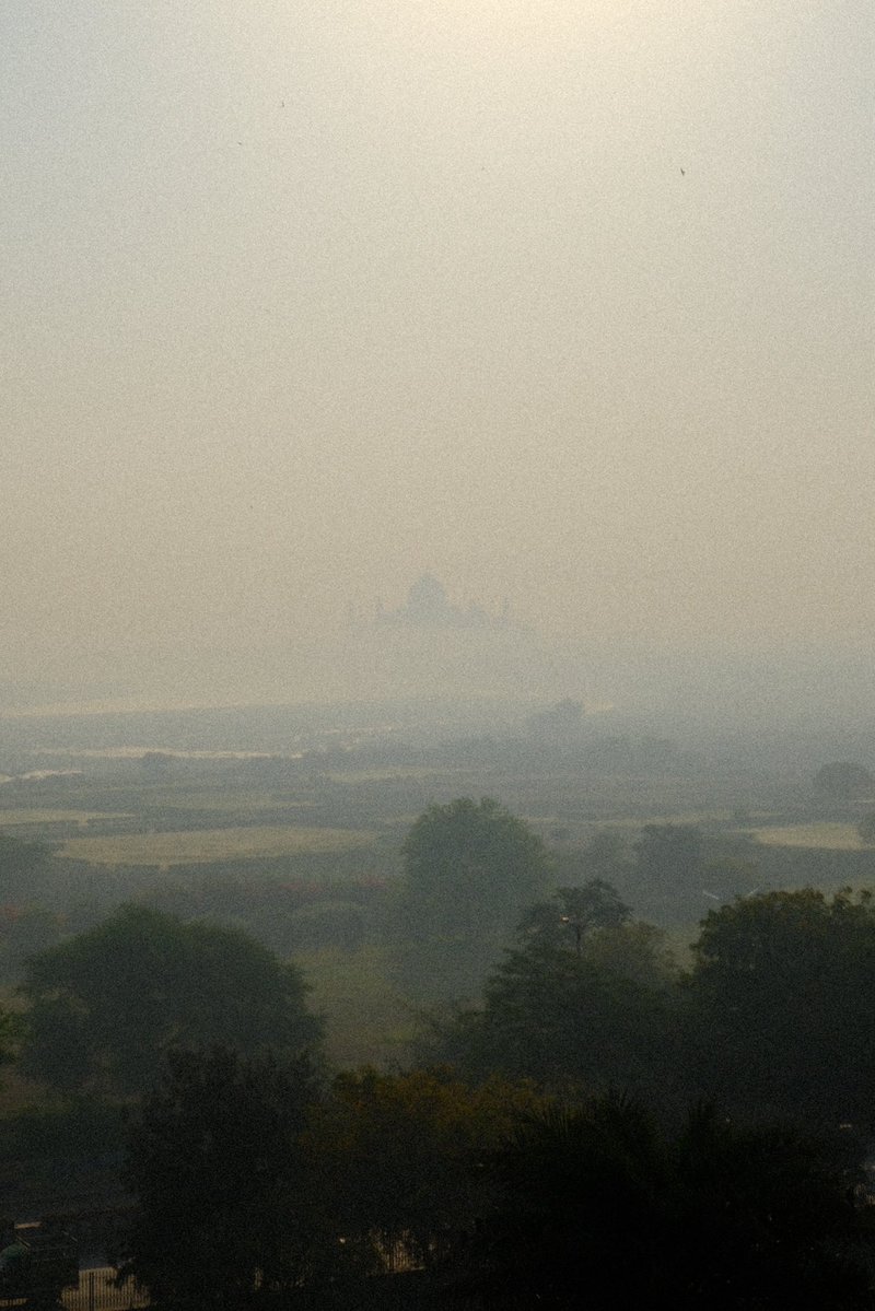 Jack Lynch tweet media