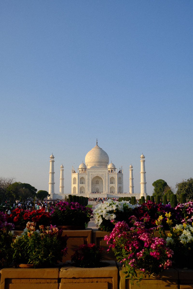 Jack Lynch tweet media