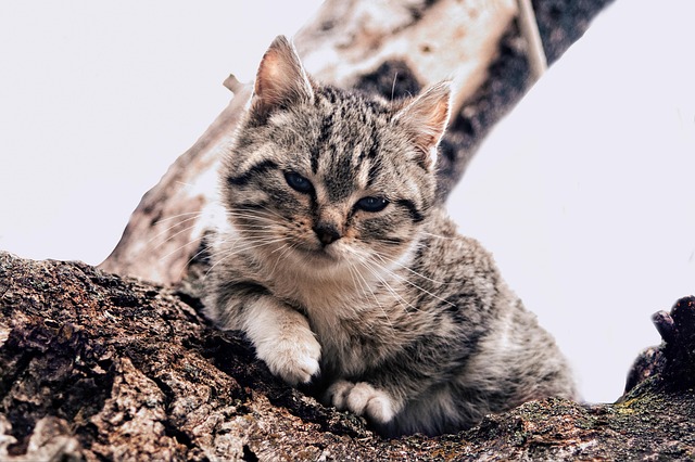 David Colby tweet media