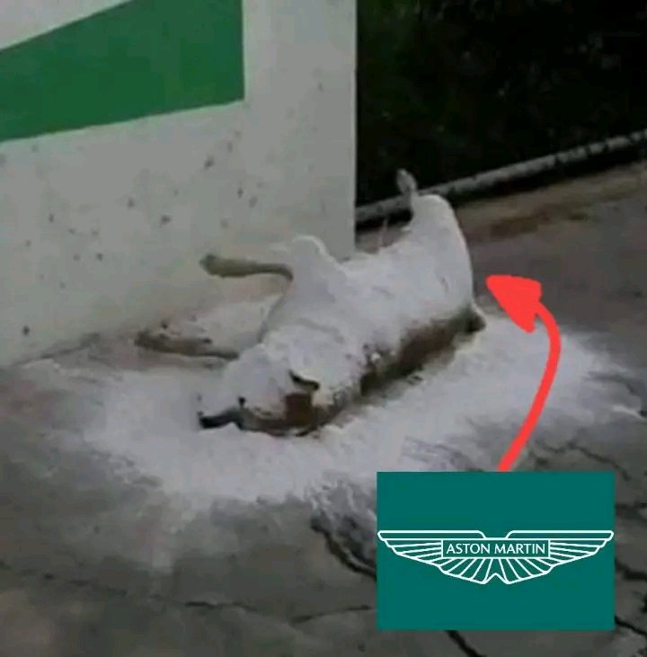 Ferrari Texcoco La Driver | F1 - Memes tweet media