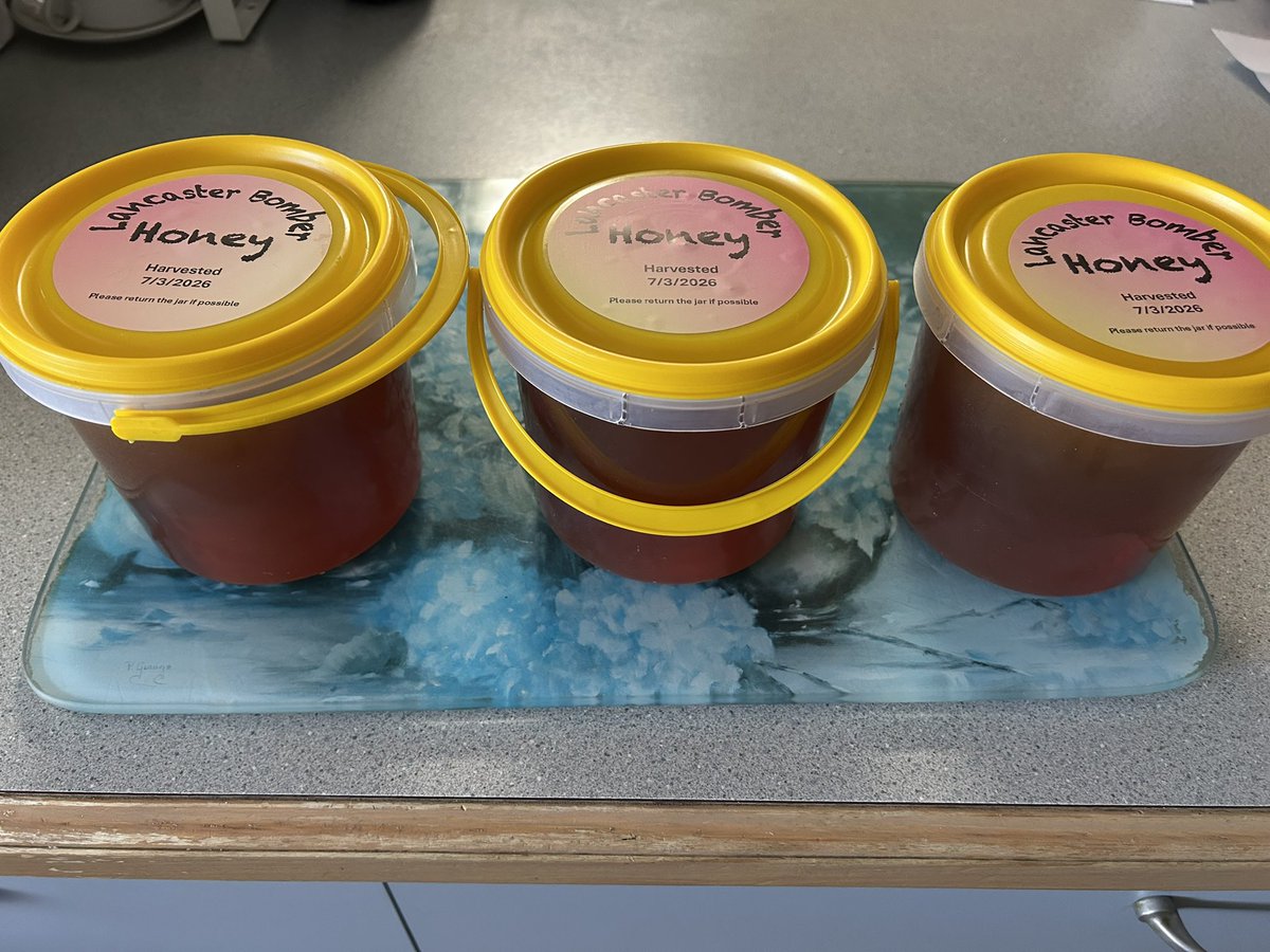 _ChemKid's tweet image. First batch of honey for 2026 🍯 🐝 #beekeeping