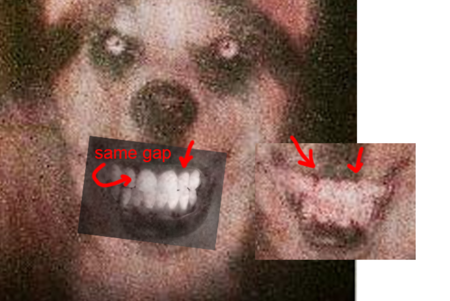 Max Teeth Rigged you're not gonna believe this, but could this actually be the teeth? it ...