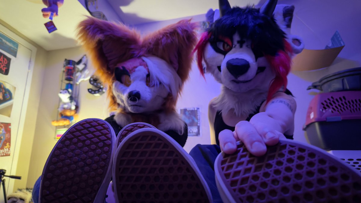 onebadhound's tweet photo. Had some fun with my man’s @lilmasobat~ we need someone to lick our soles :3 
#furry #fursuit #footfetish #furrynsfw https://t.co/P1VxdgRY40