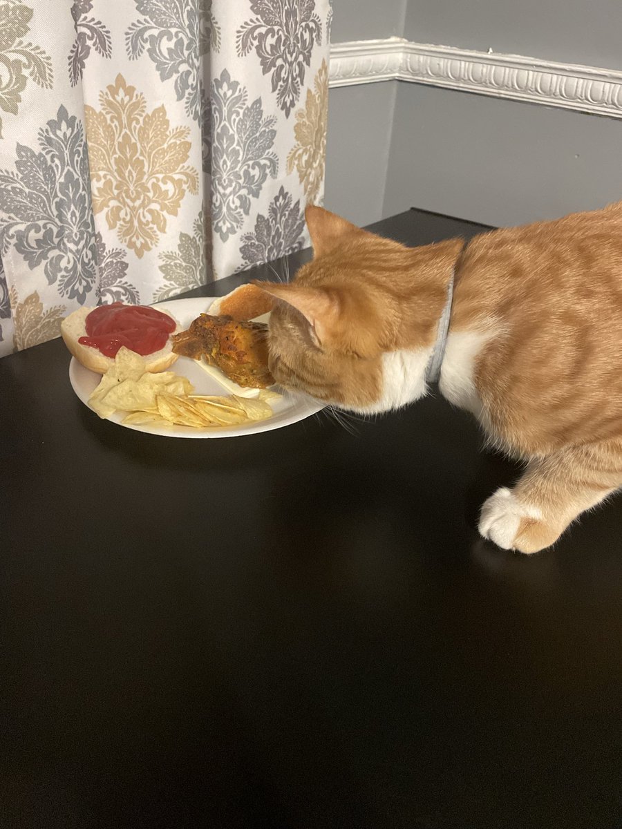 Queen of da Roses❤️🌹 tweet media