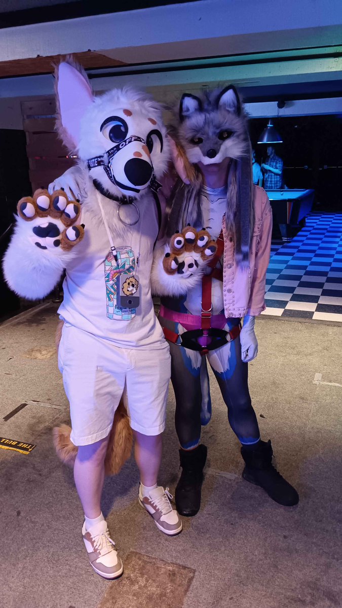 FryoKnight tweet media