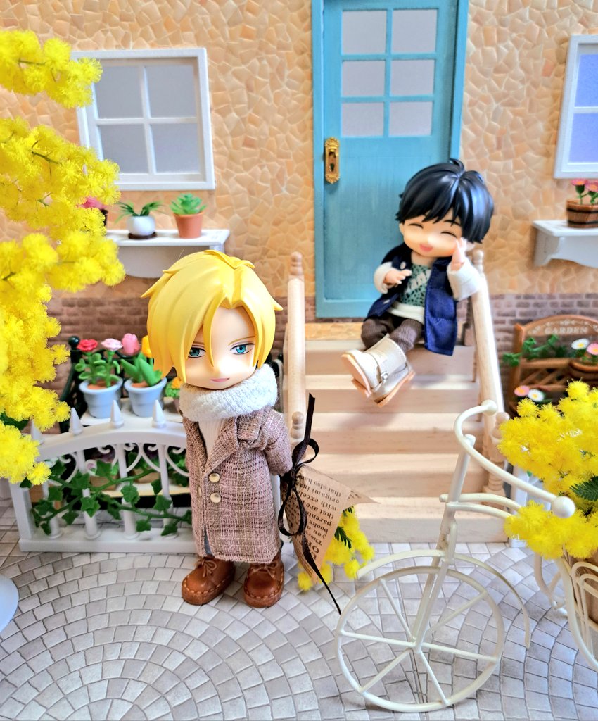 🌼ミモザの日🌼