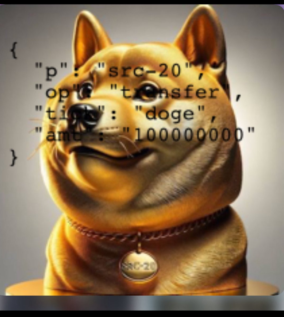 ElProfessorX100's tweet photo. Gm $DOGE #SRC20 #bitcoin #DogecoinToTheMoon #doge @btcOpenStamp @Stampchain https://t.co/BK44lIIpUs