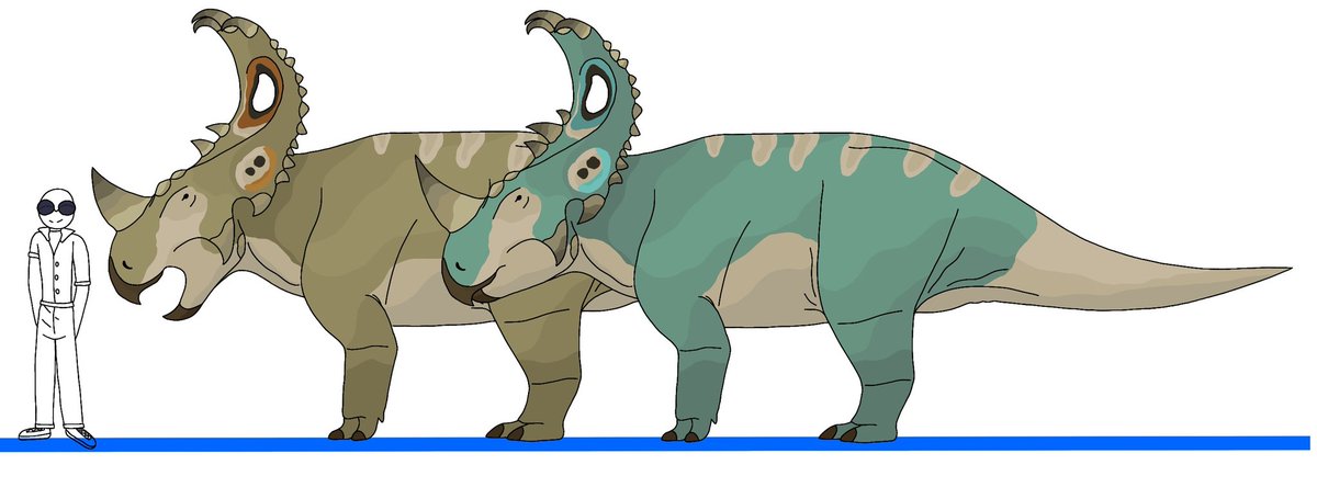 SolanTHM69420's tweet image. Another animal joining sector 001 is Sinoceratops opcephalus, it's another GMO from 
Logans_artz Jurassic World rewilding series 
Submission by @Logansartz Again 
#specevo #speculativeevolution #GMO