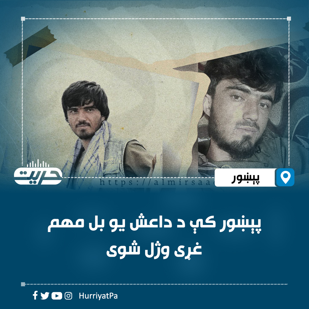 المرصاد د سرچېنو له قوله خبر ورکړی، چې د کابل بانک پر نمایندګۍ د برید طراح پېښور کې د نامعلومو وسله‌والو په برید کې وژل شوی.

المرصاد ویلي، زلمی بدخشي چې په سلمان هم پېژندل کېده د د خوارجو د خراسان څانګي مهم عملیاتي طراح په ۲۰۲۵کال کې له افغانستان څخه وتښتېد او خیبرپښتونخوا کې د