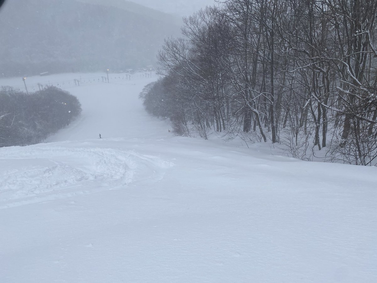 ski3213's tweet photo. 今日の朝イチの藻岩山
新雪乗ったコブって底がわからんくてムズい。→また、課題を見つけてしまった。

#基礎スキー
#藻岩山スキー場 https://t.co/BVQNODdkKX