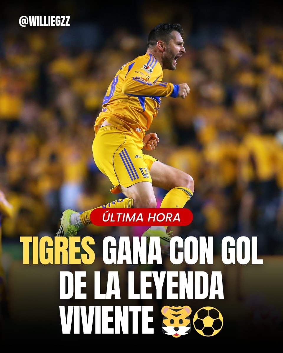 WillieGzz's tweet photo. Gracias por todo lo que has hecho por el futbol regio, crack. 🐯⚽🇫🇷 https://t.co/wagIIUSAS9