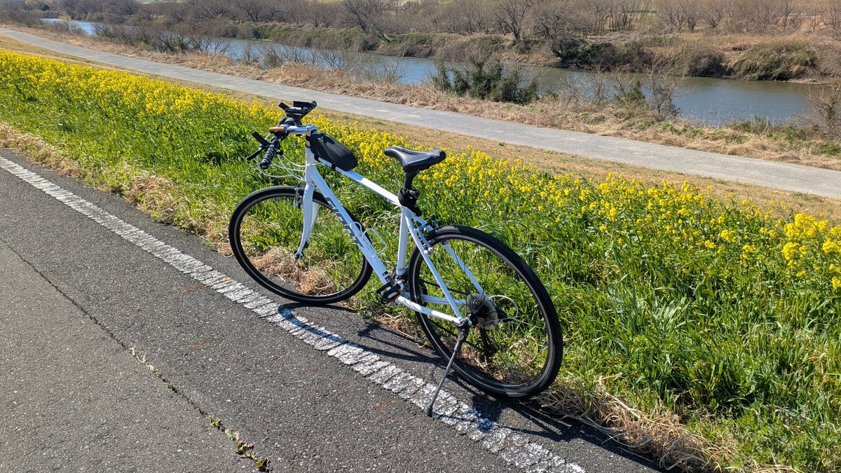 mushiinu's tweet photo. 休日出勤チャリで来た
川沿い風強くて進まん https://t.co/5ZvH98J1d5