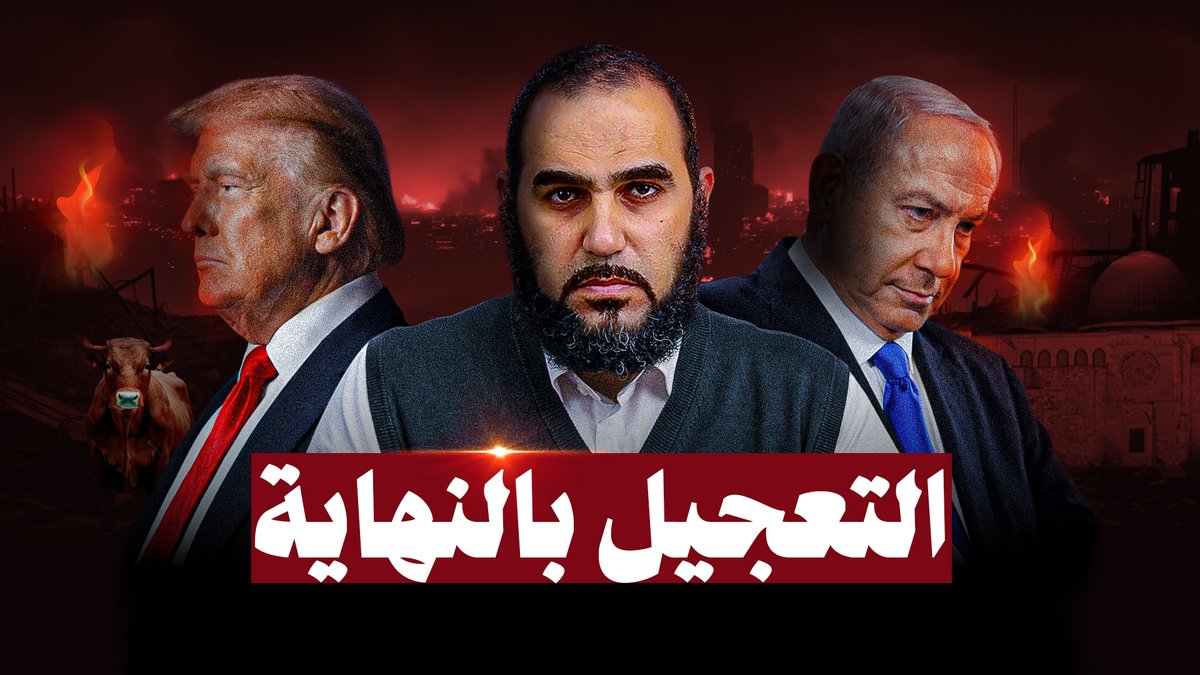 هيثم طلعت tweet media