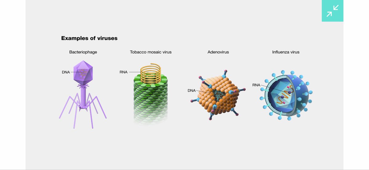 SpaceWeatherNews tweet media
