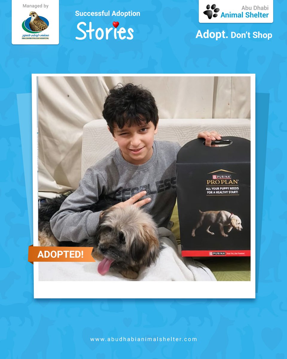 ABAnimalShelter's tweet photo. Congratulations, Mr. George Kamal on adding a new pet to your family! We wish you the best of luck, and thank you for trusting in ADAS.
#ADAS #SuccessfulAdoptionStories #AdoptDontShop #AbuDhabi #AnimalShelter @purinaarabia #Purinadoptioncommitment https://t.co/eP8JRuzRSE