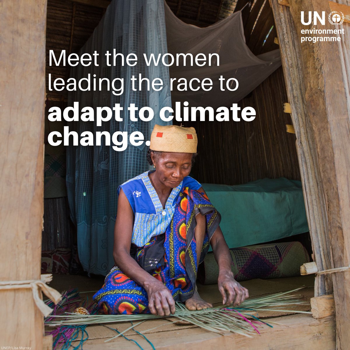 UN Environment Programme tweet media