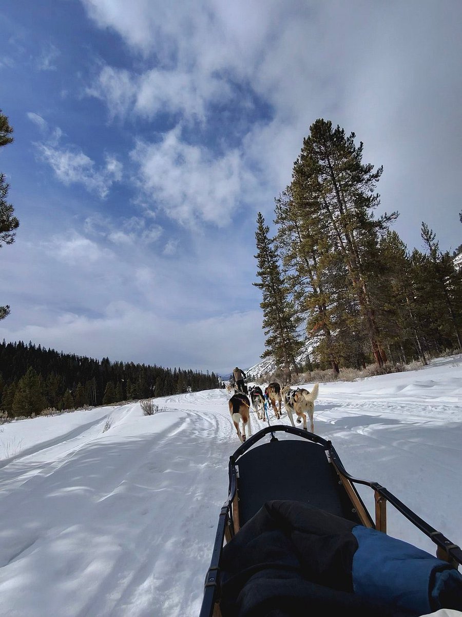 JMatthews_Wild's tweet photo. Like / Share /Follow
Dog sled season is still going, despite an incredibly low amount of snowfall we've received here in Montana this year. Worse than the minimal snow has been the consistently warm winter temperatures. I'm not a fan of mild winters. #deepcold #winter #montana #letitsnow #IranWar #SEVENTEEN #Dubai