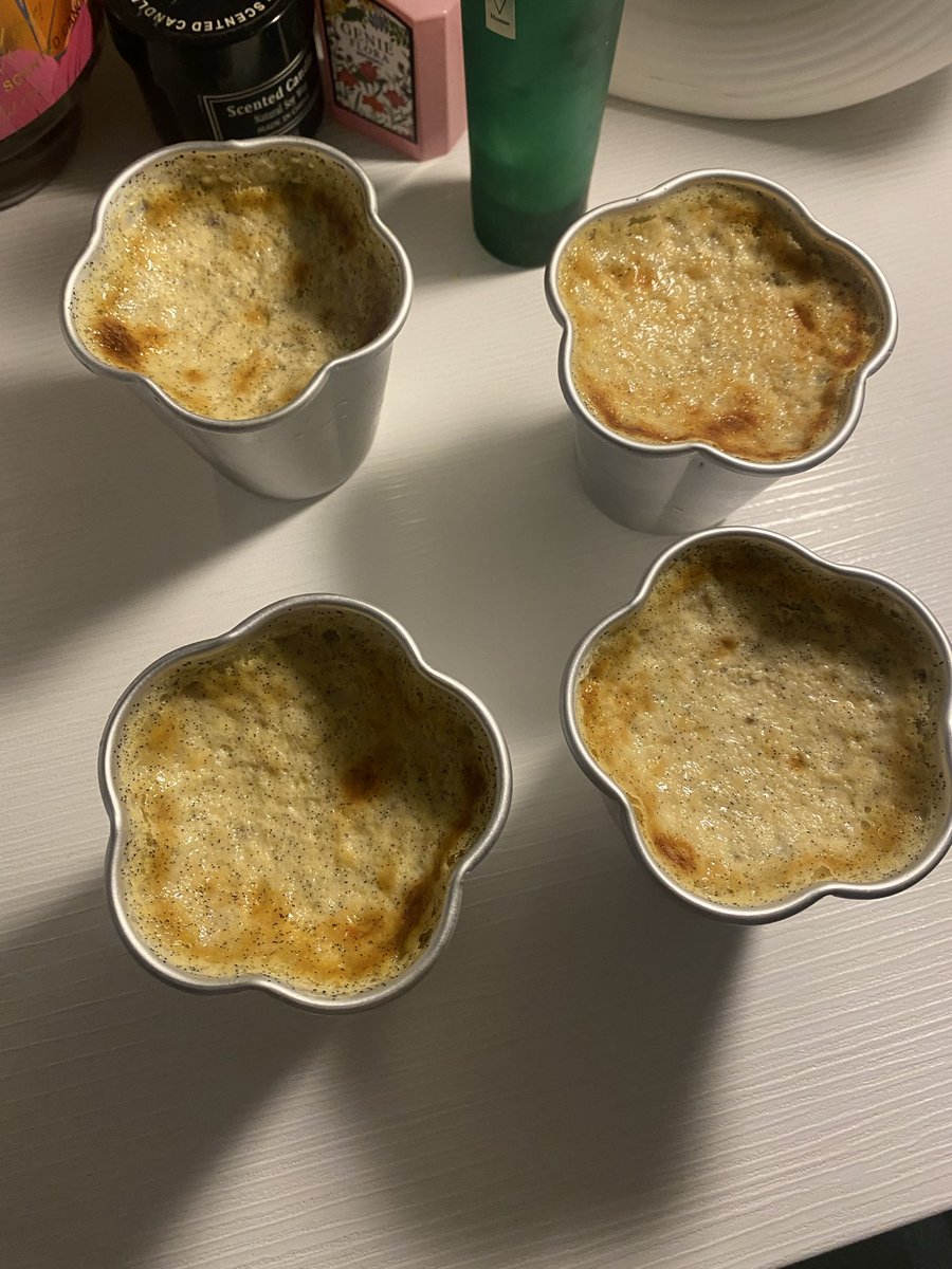 زْينبَ tweet media