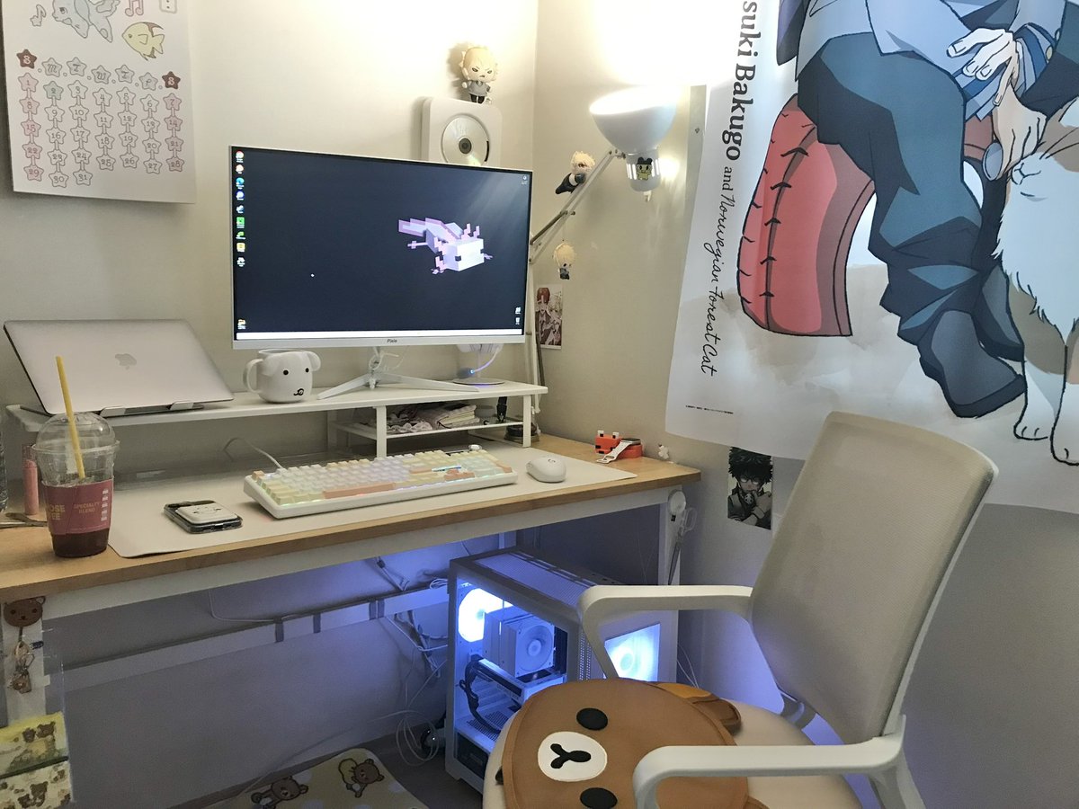 고양이 tweet media