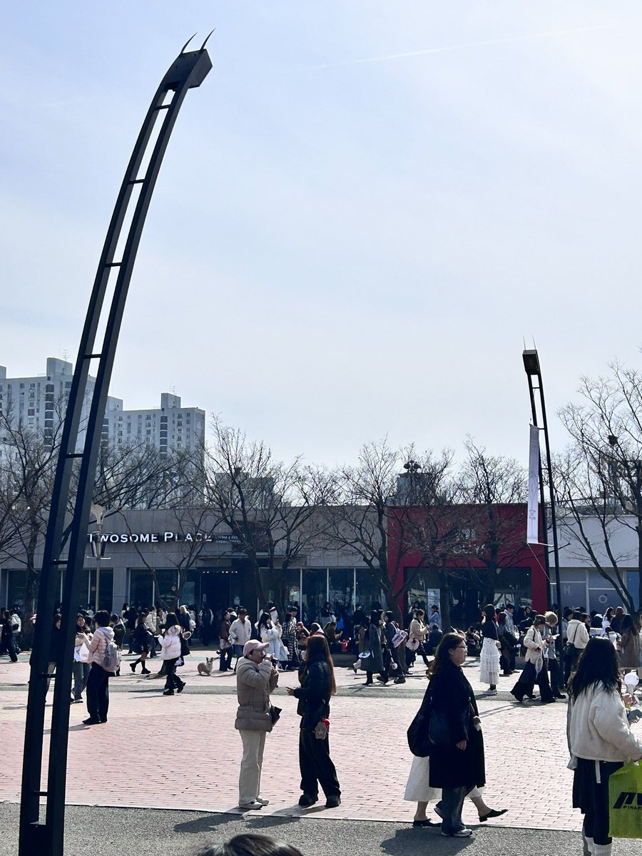 비나빈✨ tweet media