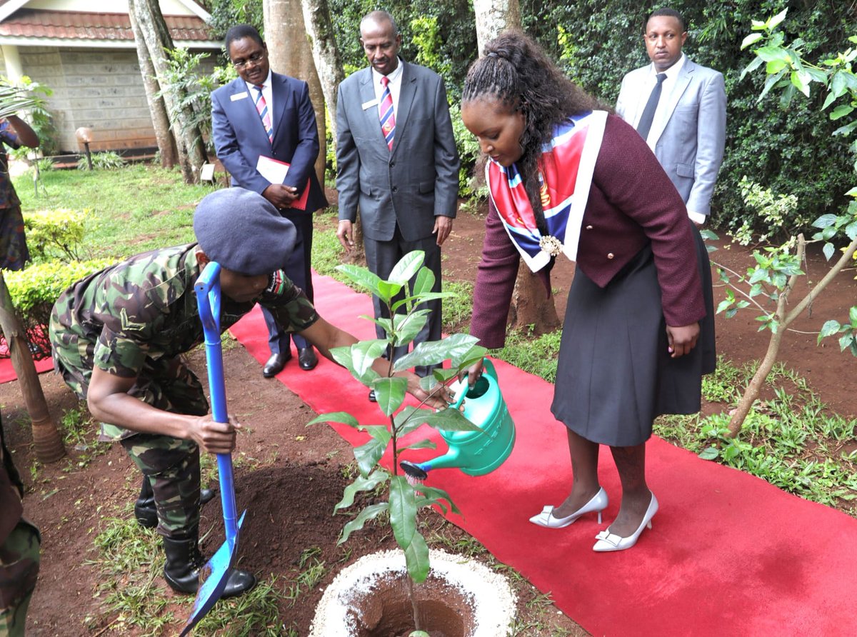 Harriette Chiggai_CS tweet media