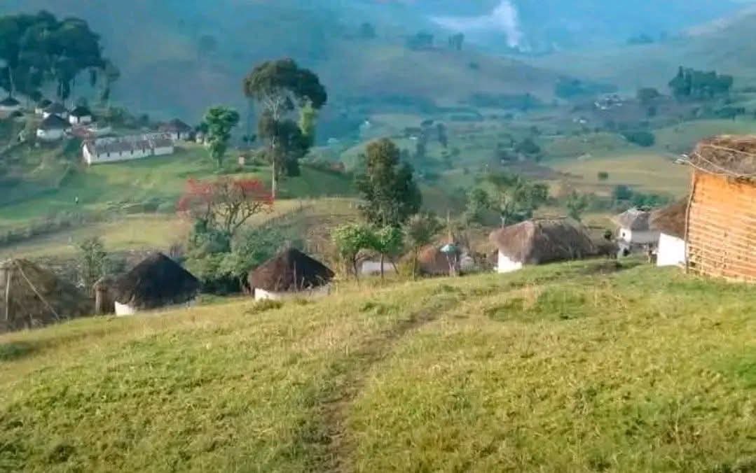 Kivu Info/24 tweet media